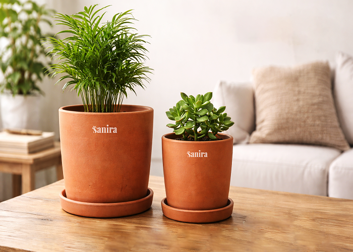 Terracotta-(Earth  Breathable Root Friendly)